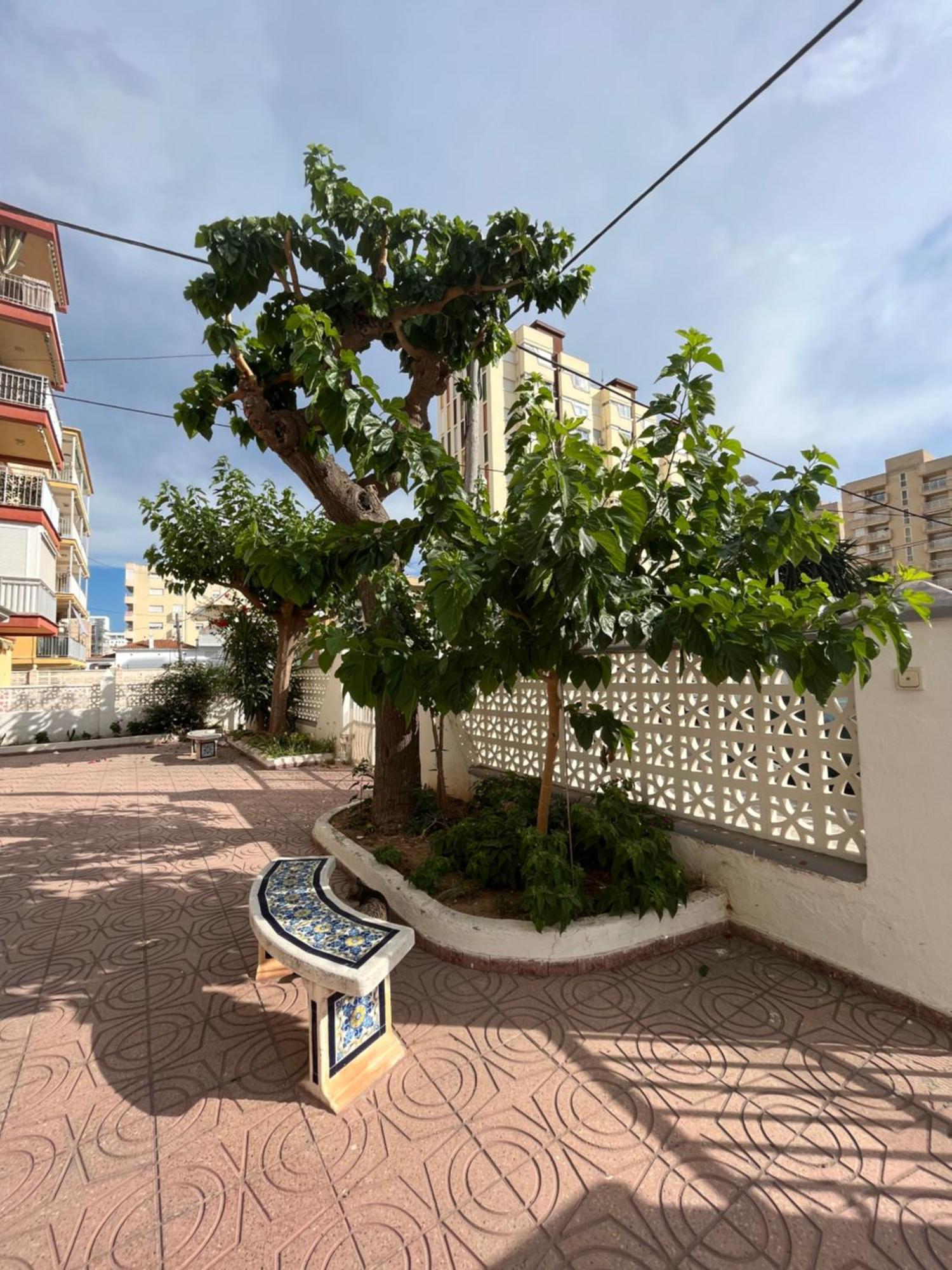 Rincon De Maria- Segunda Linea De Playa-Ganador Traveller Awards 2025 Διαμέρισμα Playa de Gandia Εξωτερικό φωτογραφία