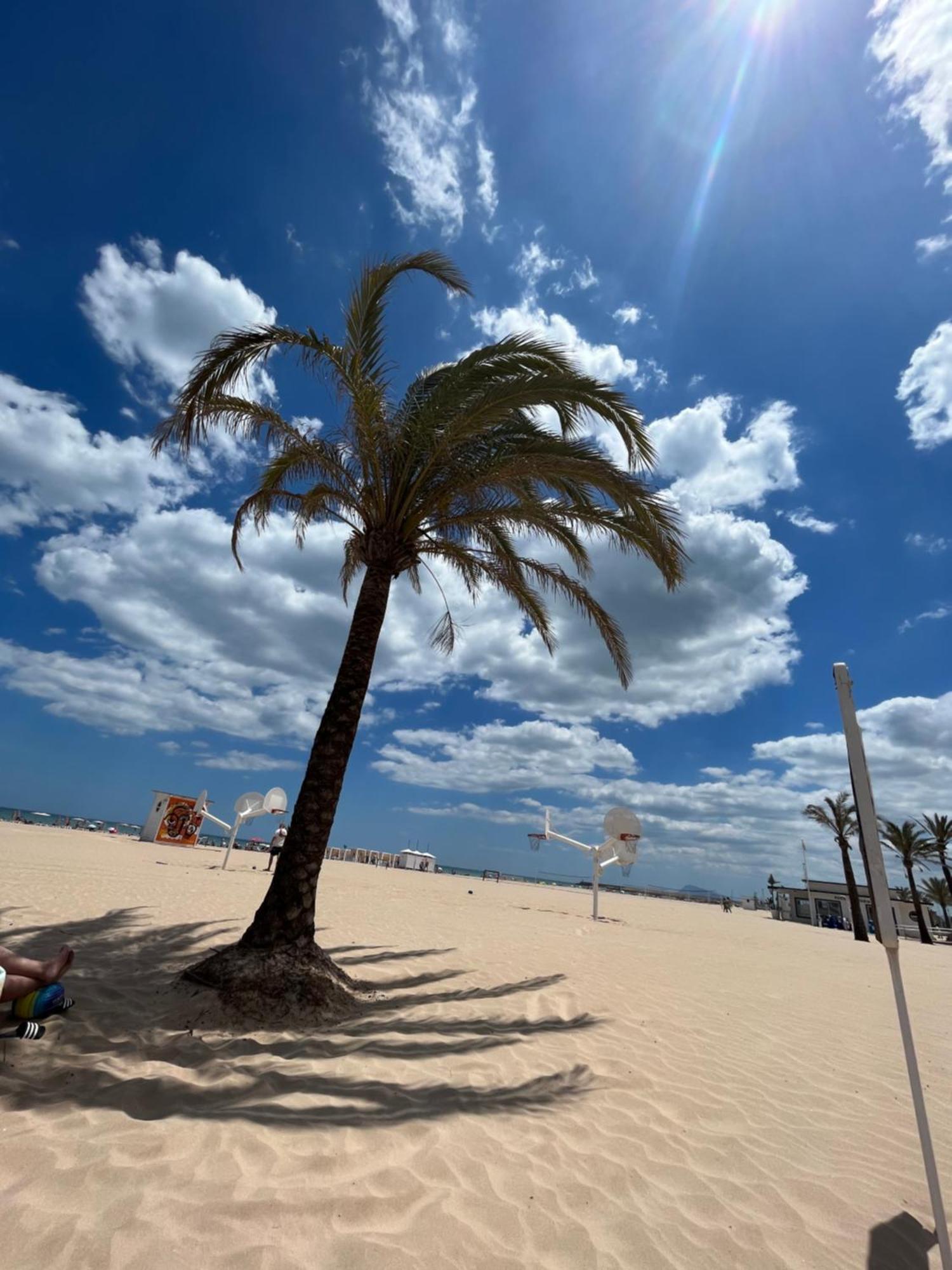 Rincon De Maria- Segunda Linea De Playa-Ganador Traveller Awards 2025 Διαμέρισμα Playa de Gandia Εξωτερικό φωτογραφία